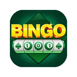 bingo-101 cover artwork